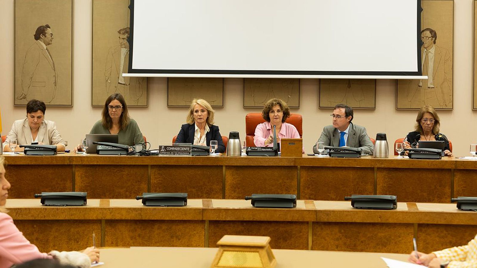 Comparecencia Congreso de los Diputados