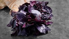 La albahaca morada: cómo cosechar, conservar, cocinar y usar de insecticida natural