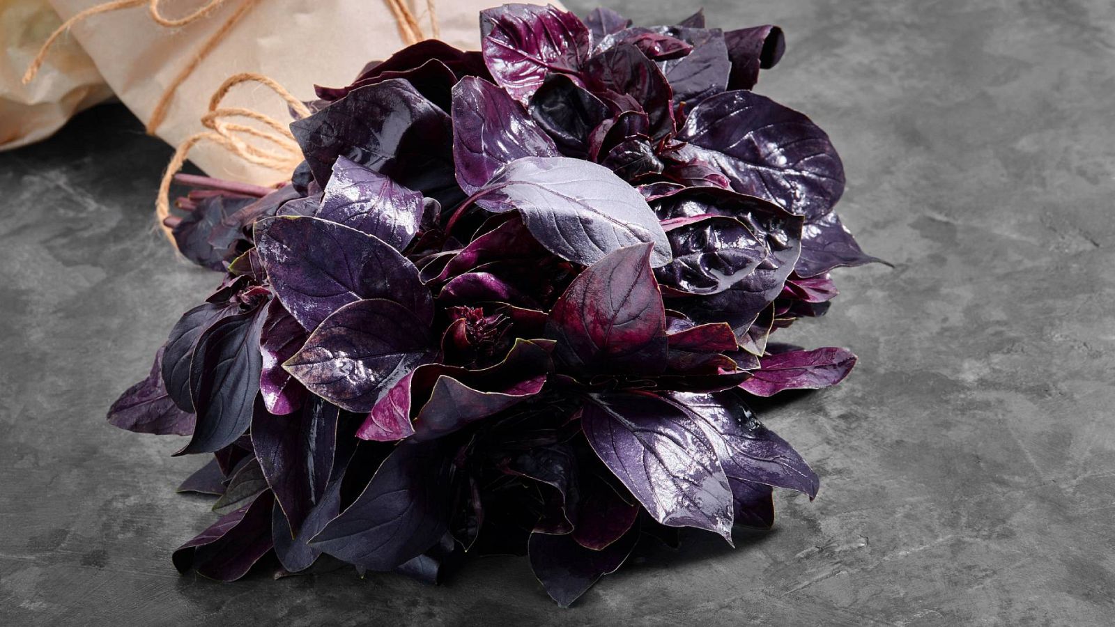 La albahaca morada: cómo cosechar, conservar, cocinar y usar de insecticida natural