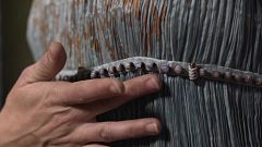 El Delphos: ¿Es el vestido más importante de la historia? ¿Quién lo creó?