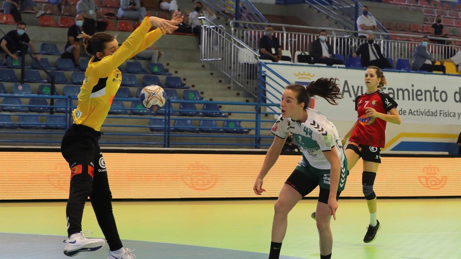 Nicole Wiggins - Balonmano