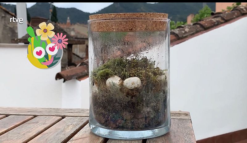 No t'ho creur�s: aquest jard� pot viure mig segle sense que el cuidis