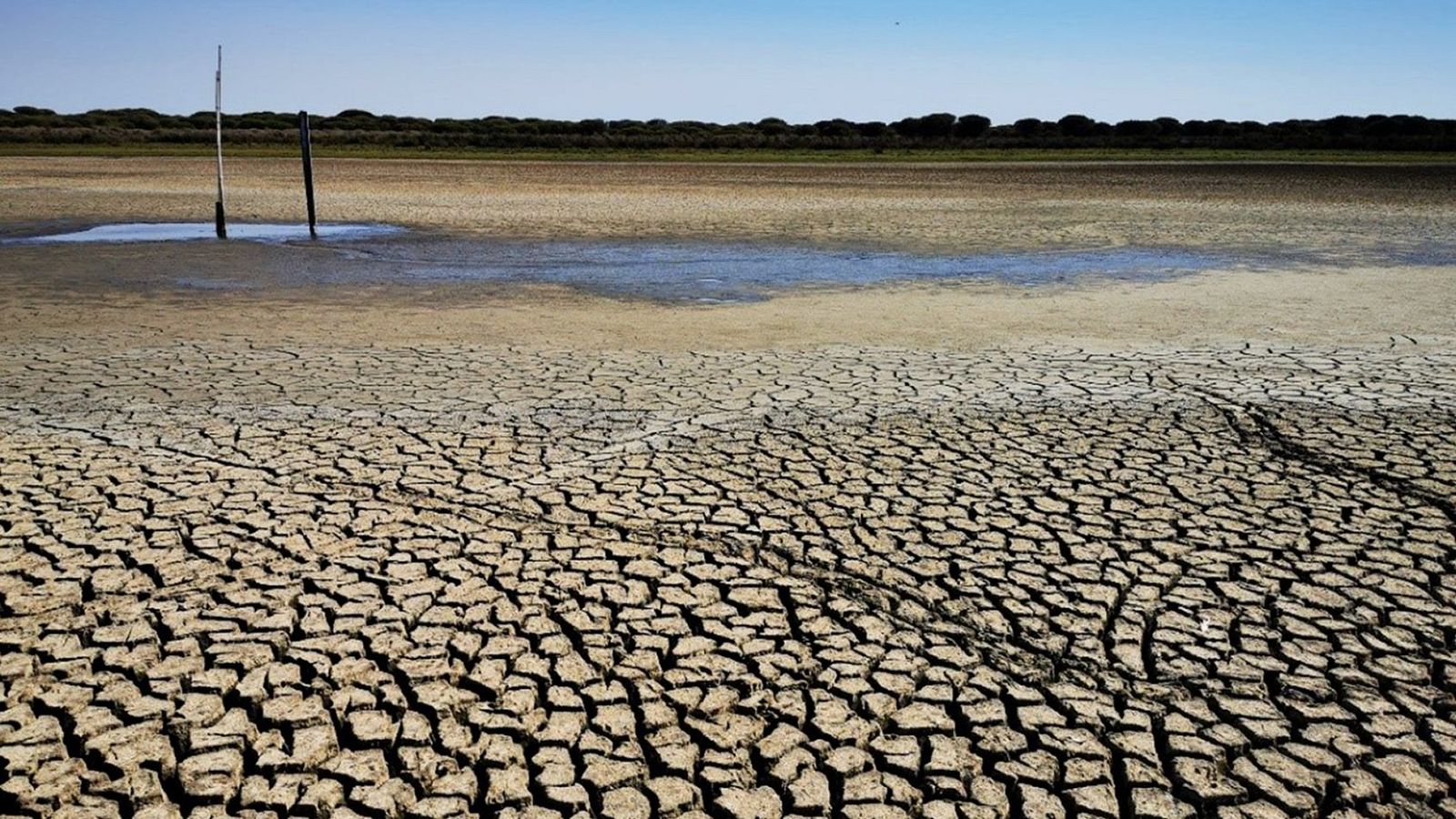 La laguna de Santa Olalla, la laguna permanente más grande de Doñana y la última que ha mantenido agua en agosto, ha terminado por secarse completamente