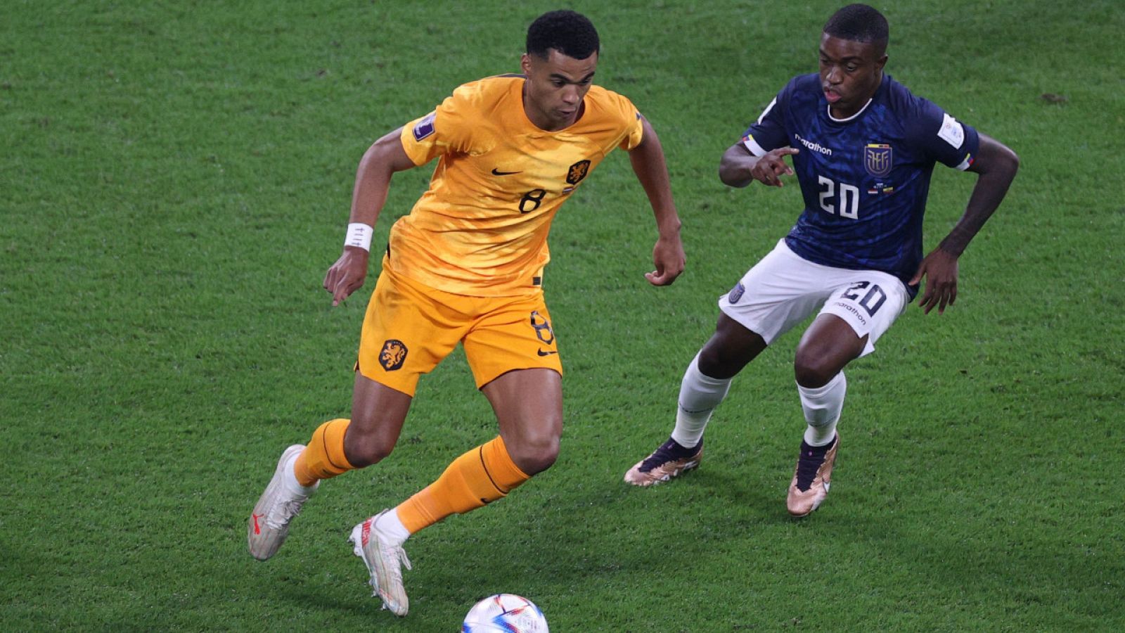 Países Bajos - Ecuador, en directo: un golazo de Gakpo adelanta a su equipo