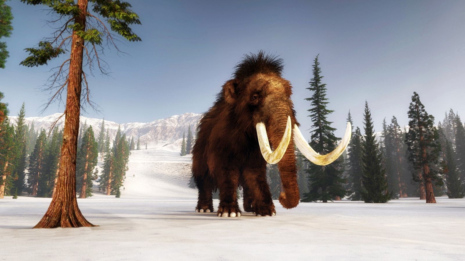 ¿Cómo se puede resucitar un mamut?