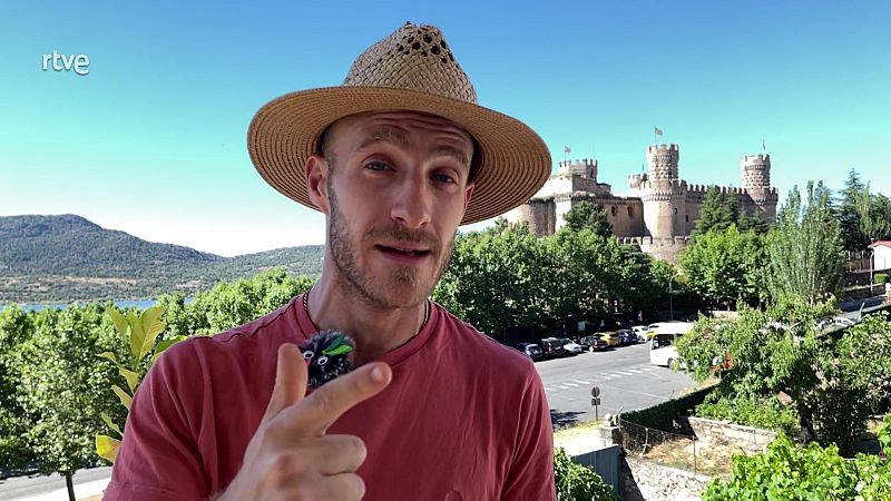 Aquest sab� deixa les plantes ben netes... de plagues!