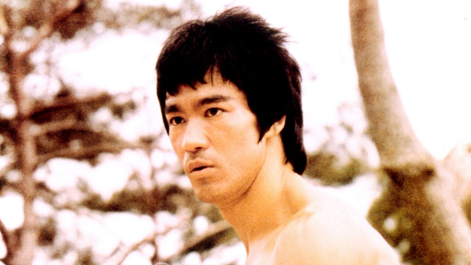 Bruce Lee a principios de los años 70