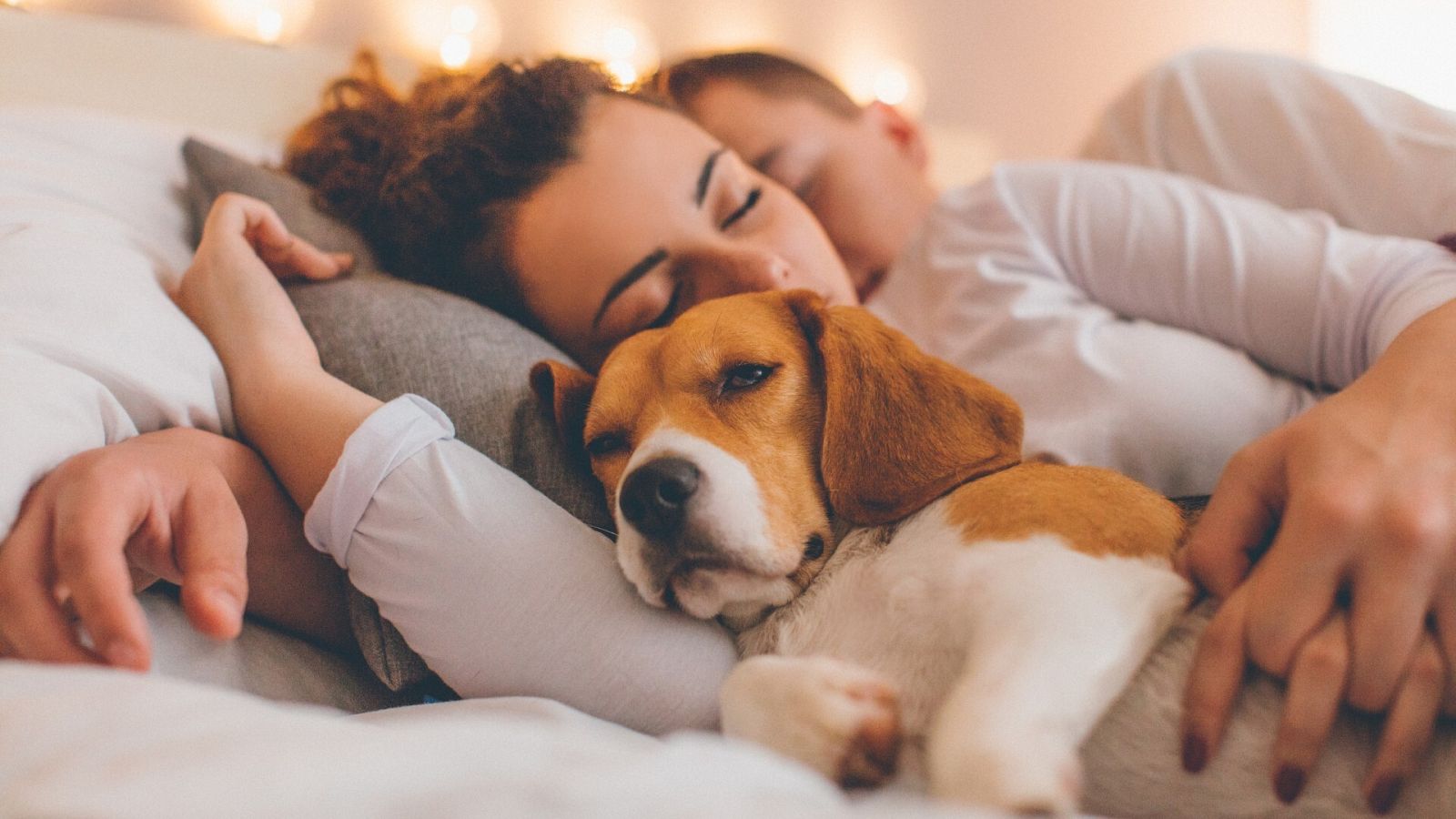 El proyecto de ley contra el maltrato animal pena el daño intencionado a la mascota con más condena que las lesiones leves a la pareja