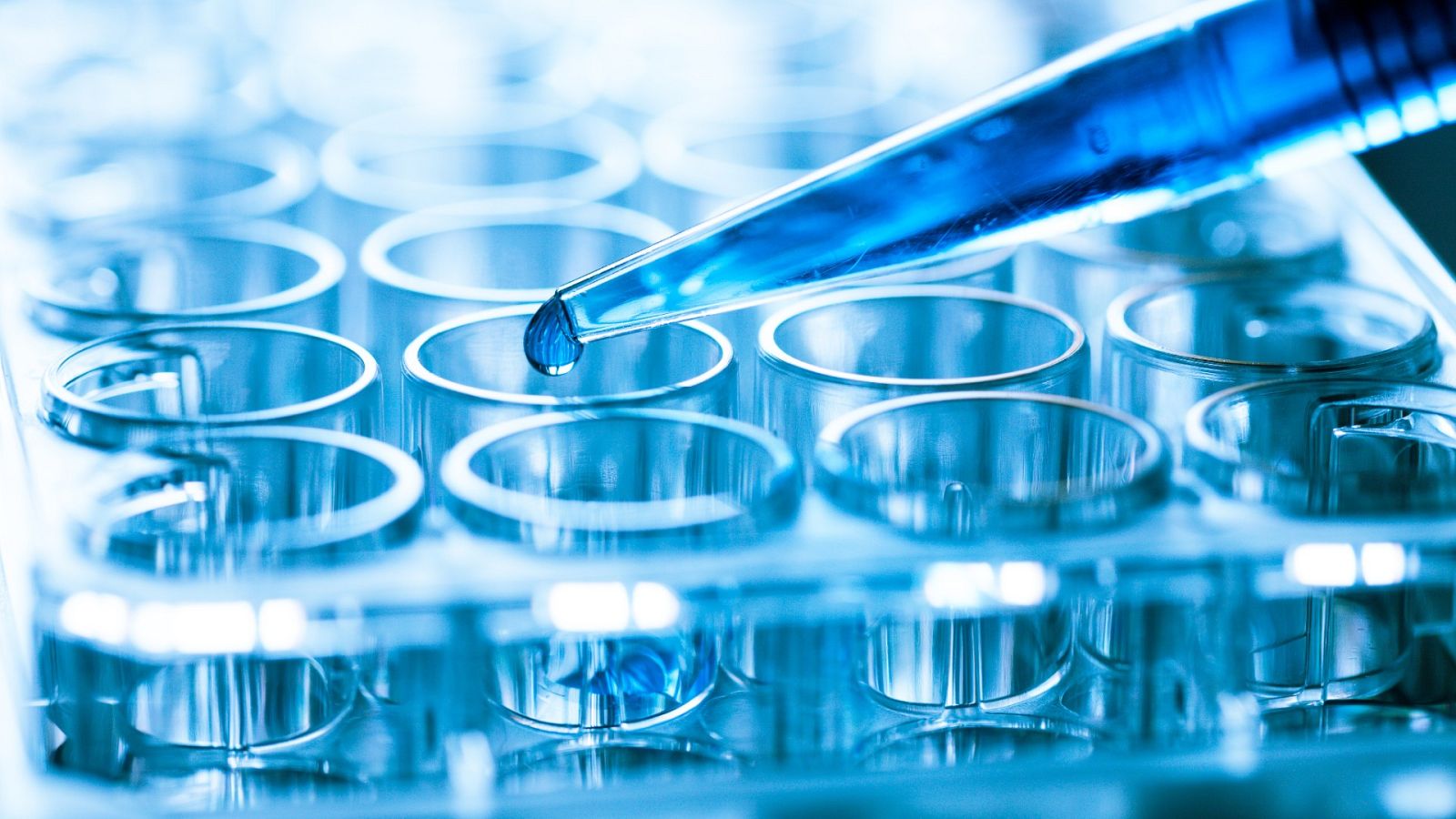 Manipulan material de laboratorio una imagen de archivo