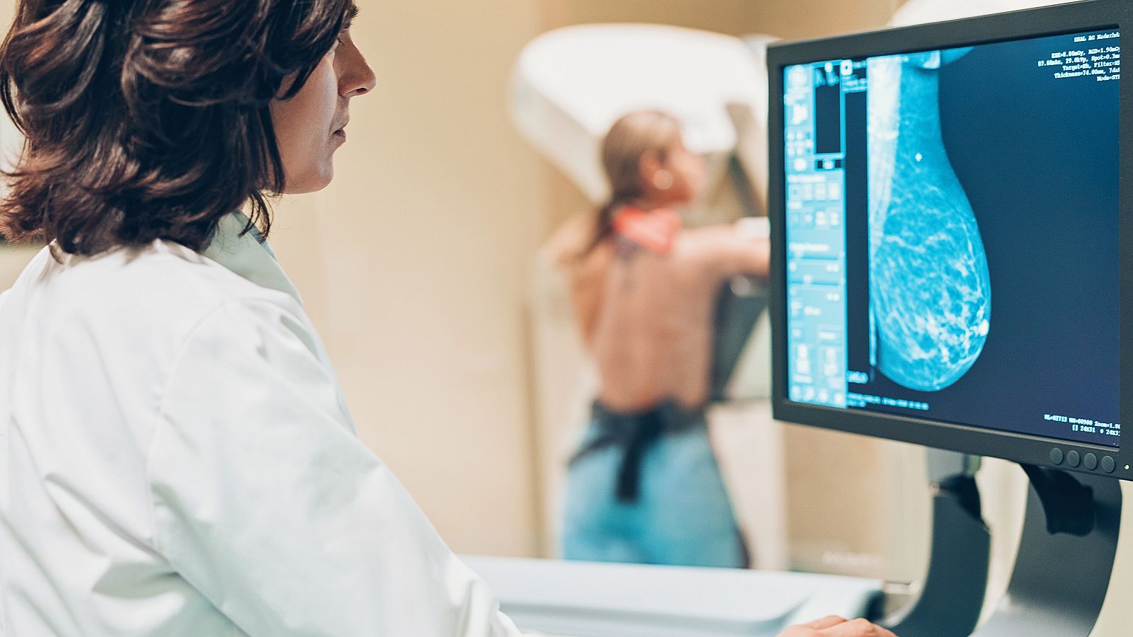 Se estima que entre 2020 y 2040 aumentarán un 50% los nuevos diagnósticos de cáncer.