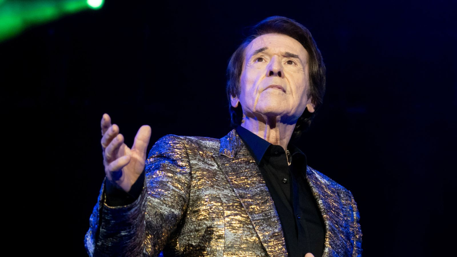 El cantante Raphael en concierto