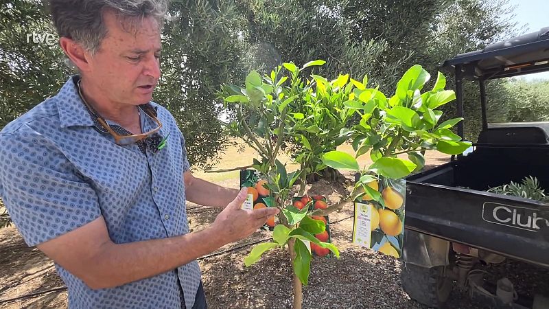 Empeltar no �s dif�cil