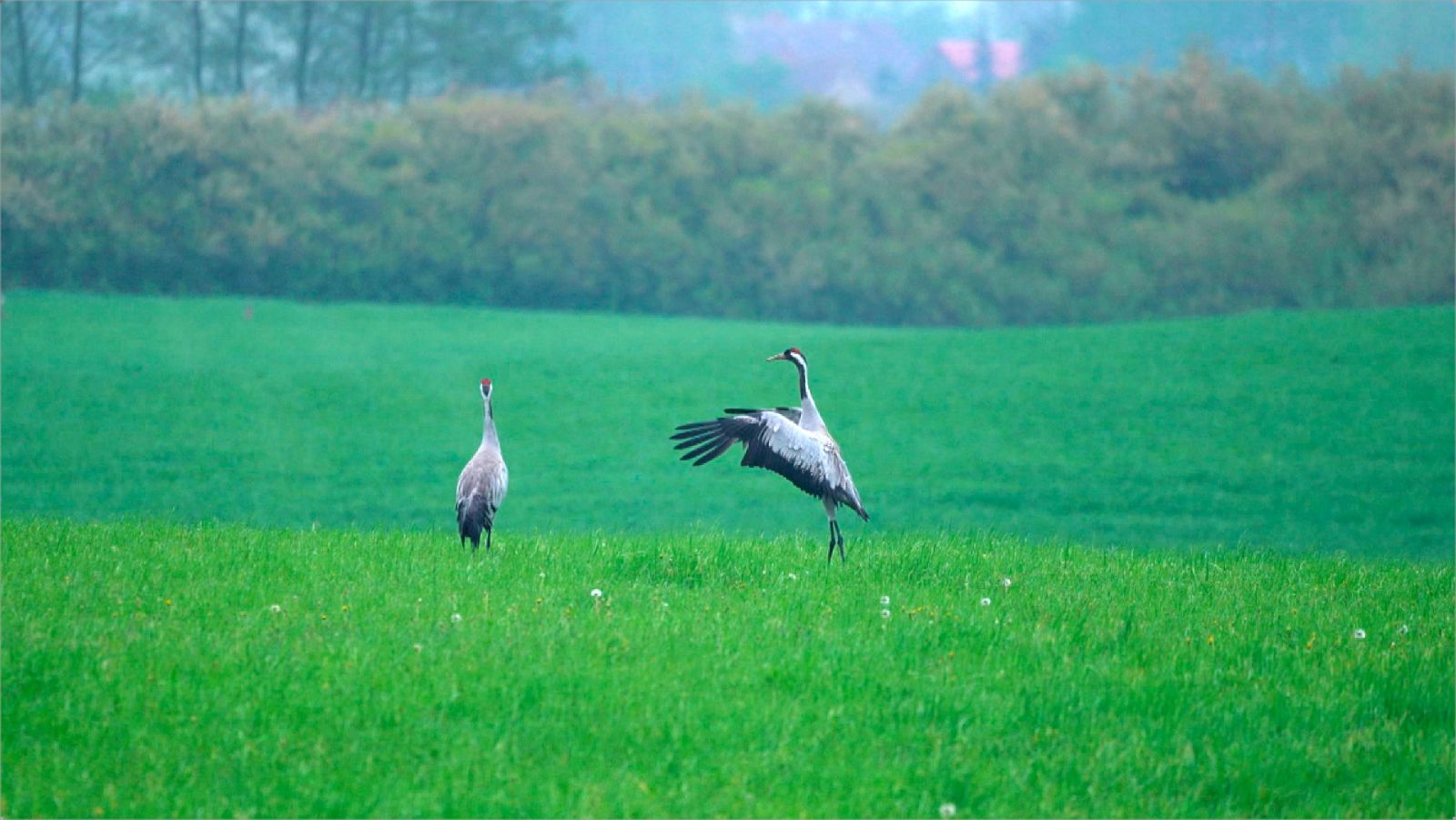 Alemanya de l'Est a 'Turisme rural al món'