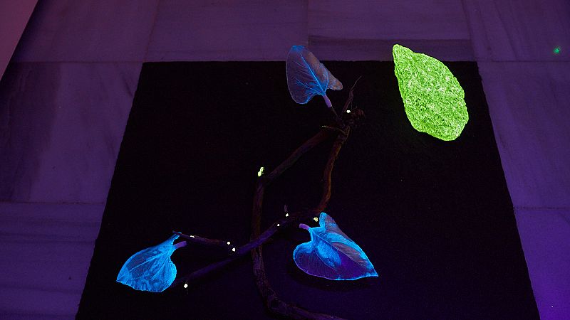 La justicia medioambiental, reivindicada por artistas internacionales en la exposici�n Con los pies en la tierra