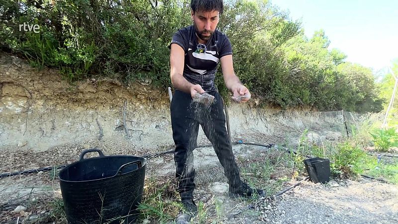 Excrements que s�n or per a la terra