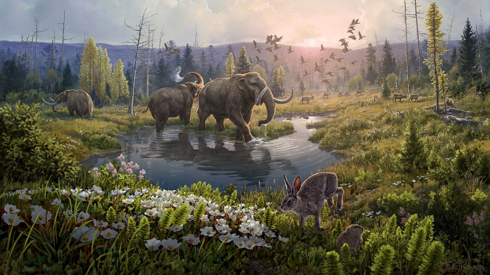 Representación artística de la zona de Groenlandia donde se ha hallado el ADN, mucho más cálida hace dos millones de años.