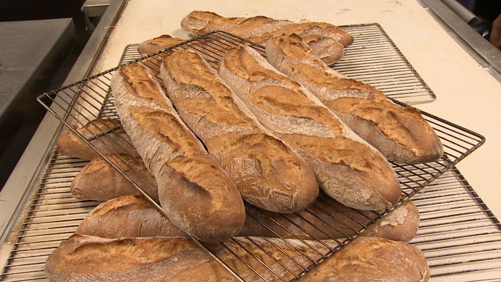 Hornos y la crisis de energía 01