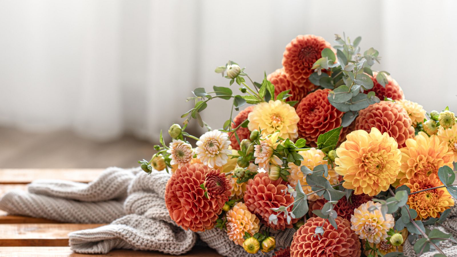 Crisantemos comestibles, cómo cultivarlos y consumirlos