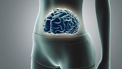 ¿Lo que pensamos y sentimos afecta a la microbiota?