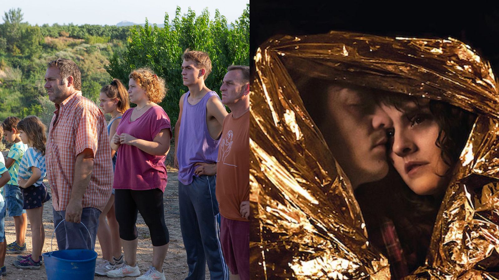 Premios Gaudí - Alcarràs y Un año, una noche