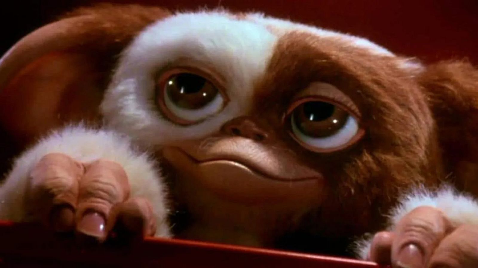 Gizmo, el protagonista de 'Gremlins'