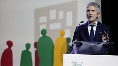 Marlaska ordena intensificar la protección de las víctimas ante el repunte del "terrorismo machista"