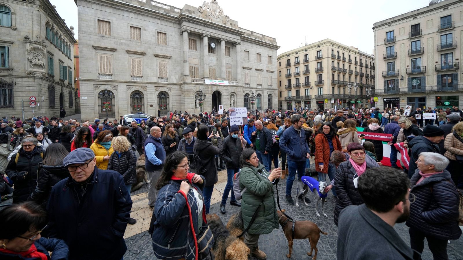 Concentraciones de protesta organizadas por el Partido Animalista PACMA