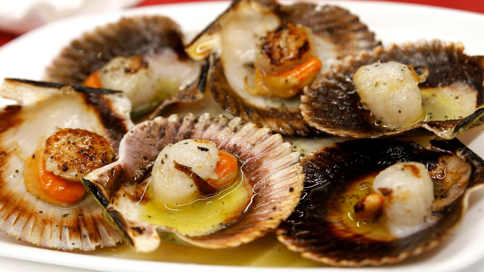 ¿Cuáles son las diferencias entre volandeiras, zamburiñas y vieiras?