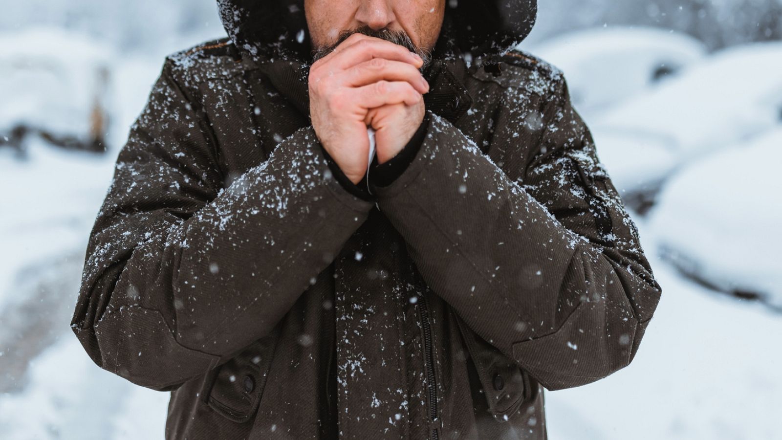 Curiosidades sobre el frío