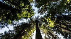 Cinco libros que hablan del cambio climático