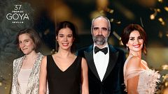 Las curiosidades de los nominados al Goya 2023 que seguro no sabías