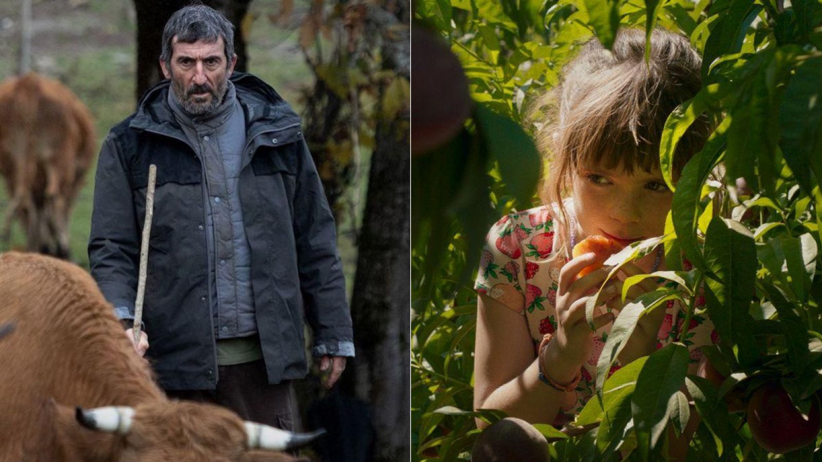 'As bestas' y 'Alcarràs' son las principales favoritas para los Goya 2023.