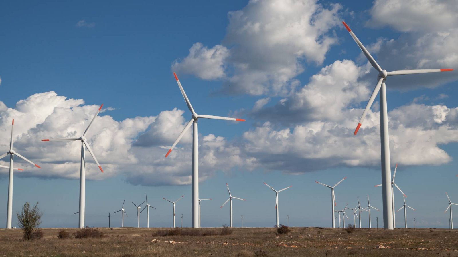 Un parque eólico