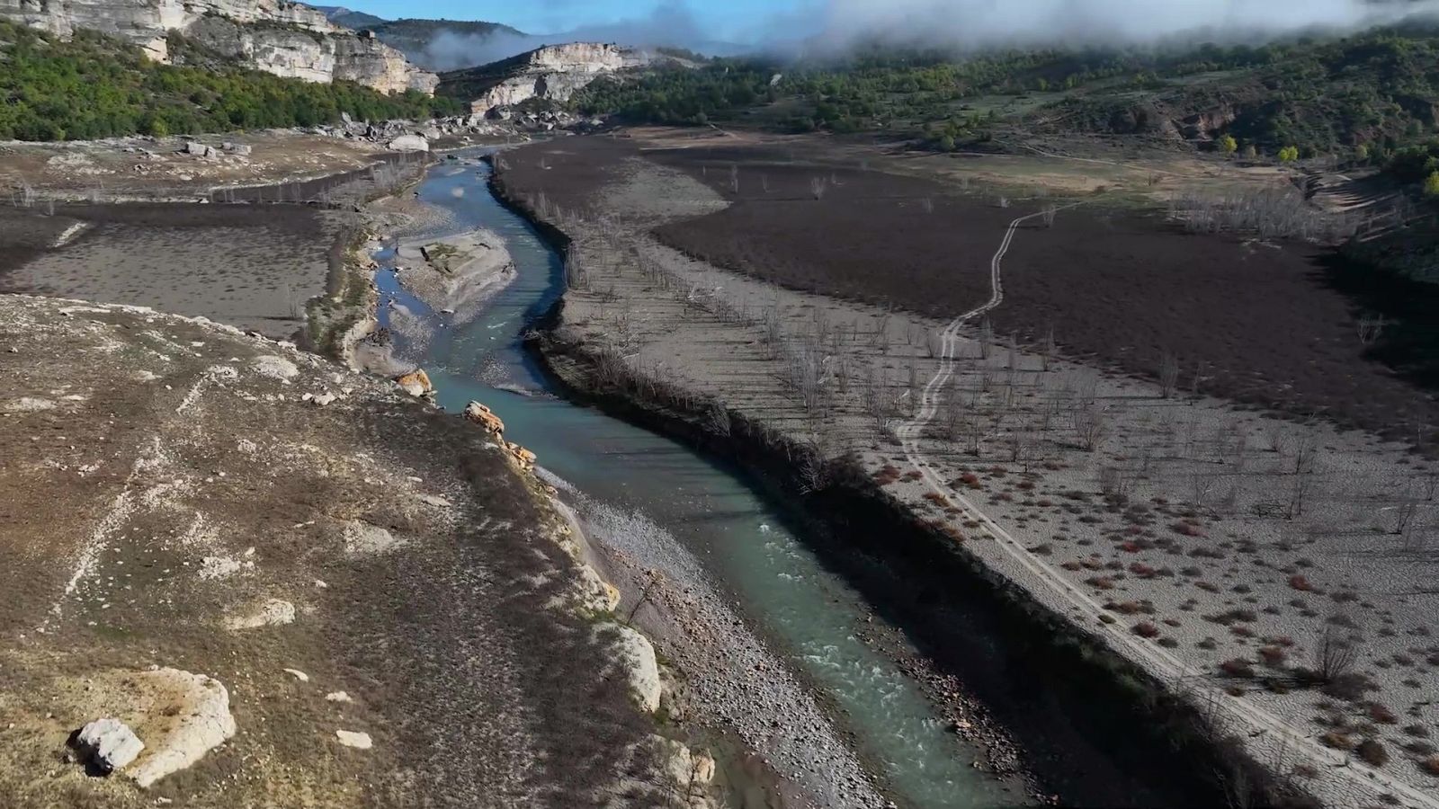 Sequera al Congost de Montrebei