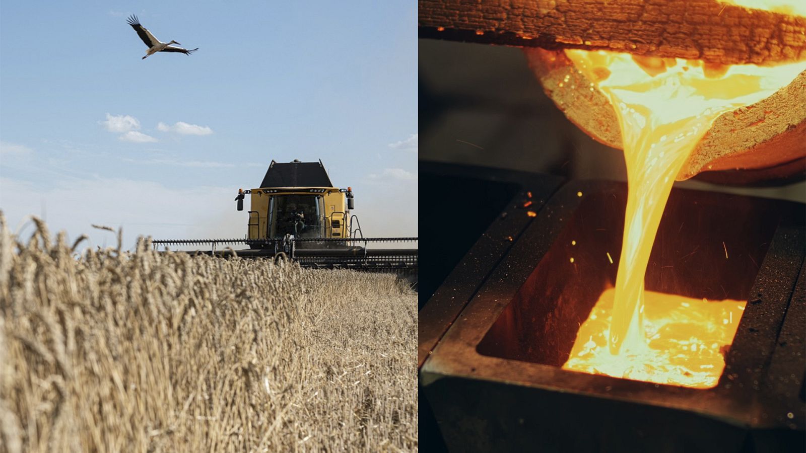 'La noche temática' estrena `Trigo y oro, las armas de la guerra' 