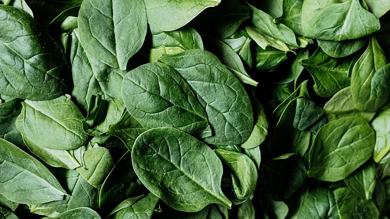 Día Internacional de la Espinaca: 4 cosas que no sabías sobre las espinacas y una forma deliciosa de comerlas