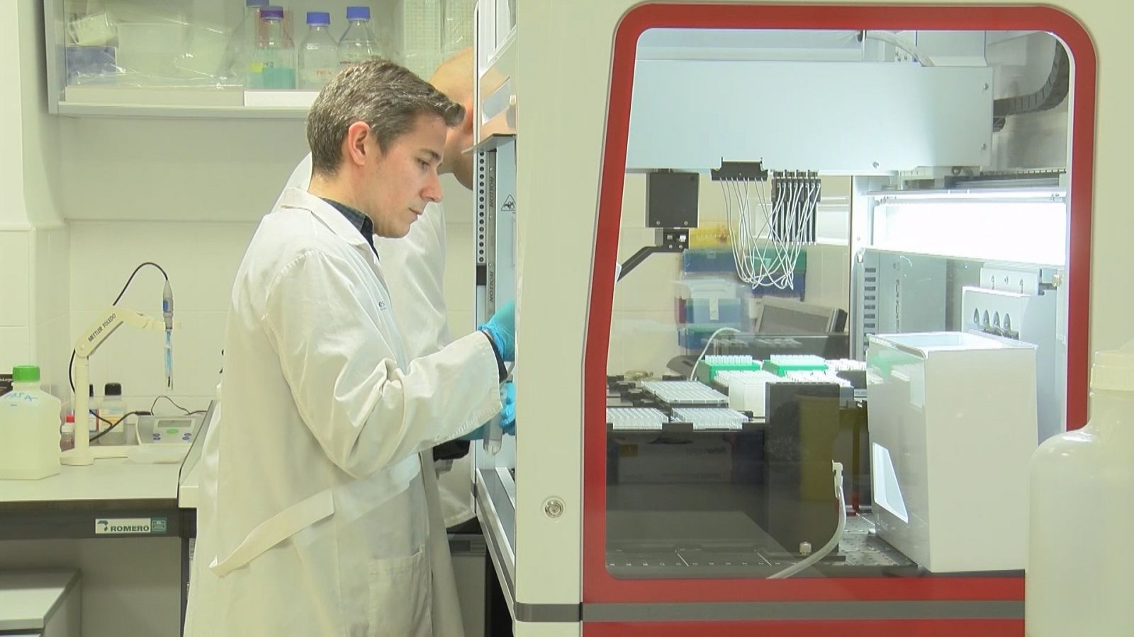 ctv-zew-investigadores