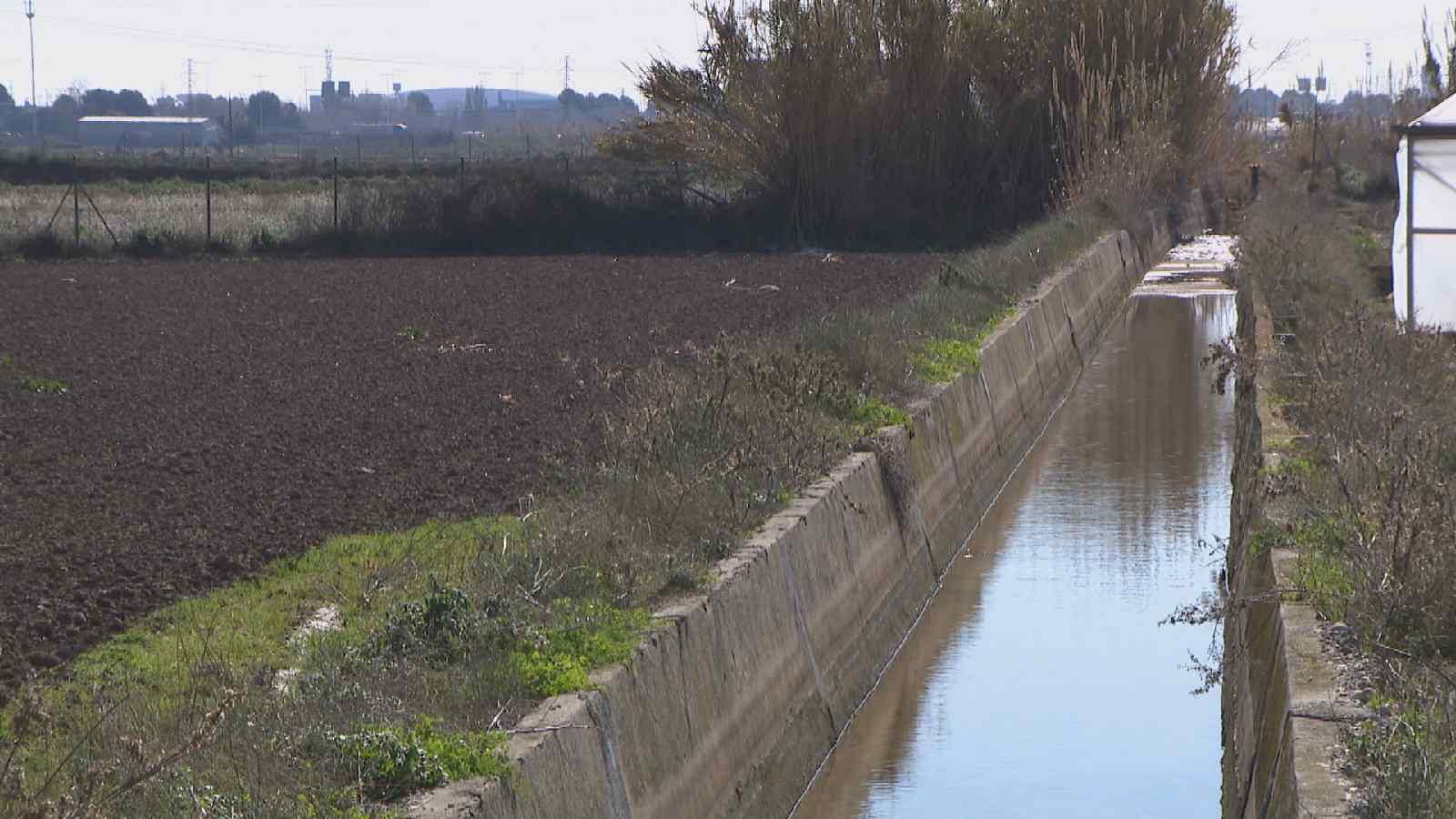 La situació de sequera extrema afecta de ple el sector agrícola