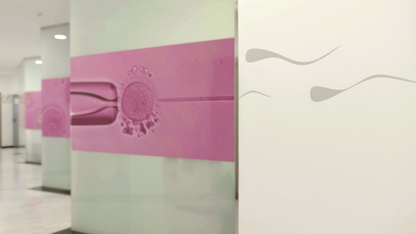 'La noche temática'