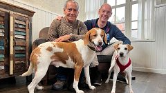 Planes para hacer con tu perro en los Arribes del Duero
