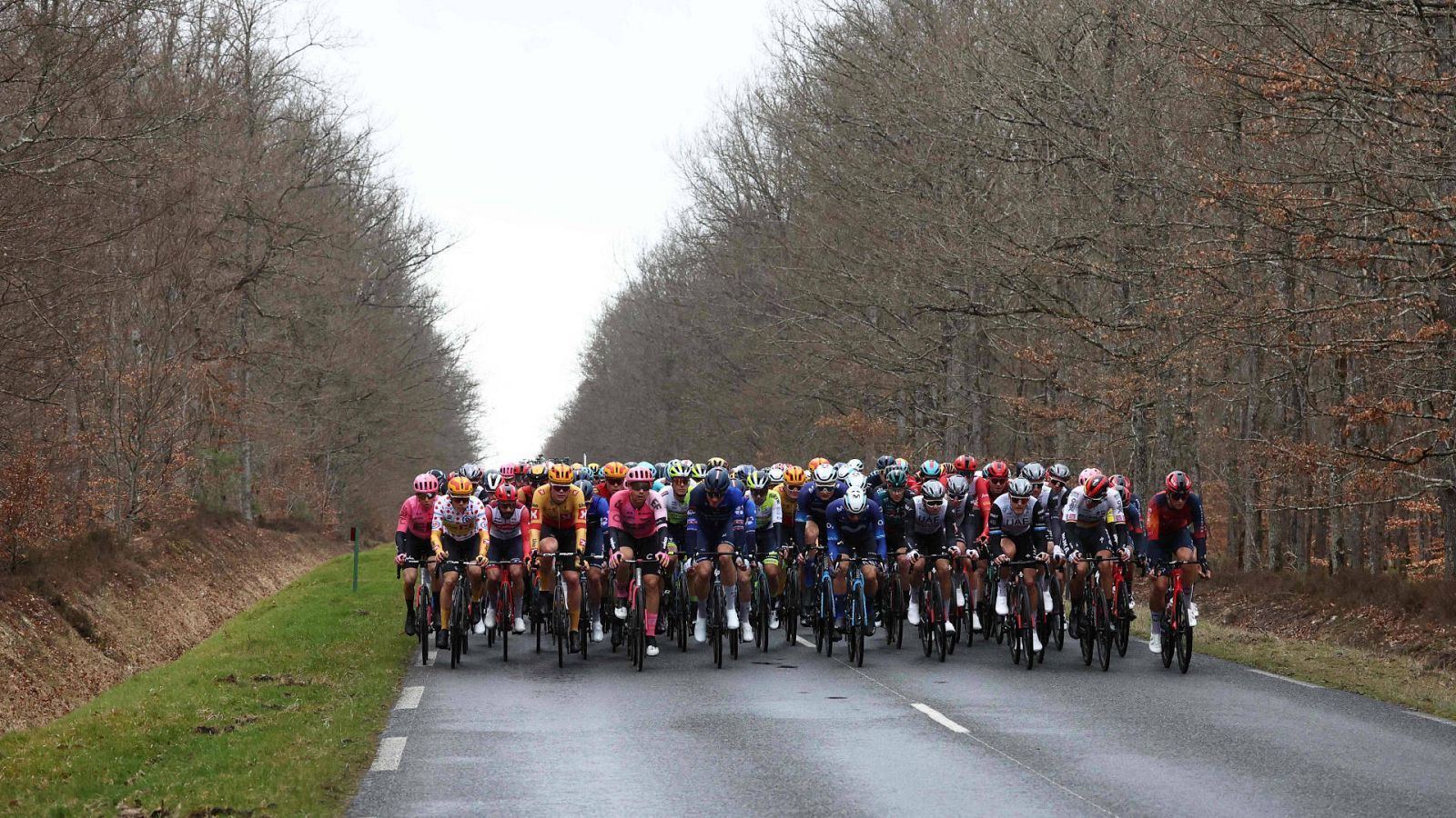 París-Niza: pelotón