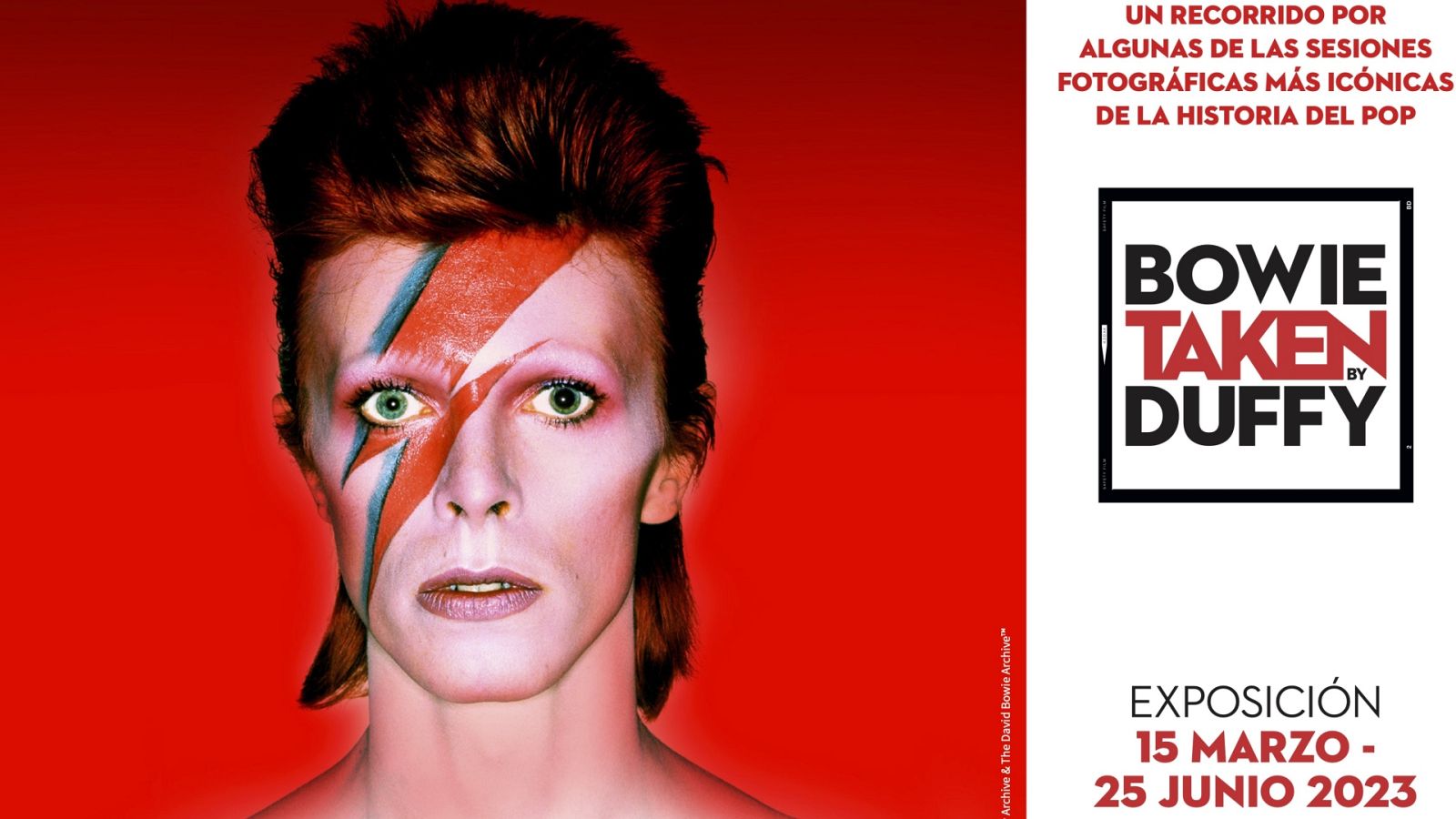 La exposición 'Bowie Taken by Duffy' se puede ver en el COAM de Madrid