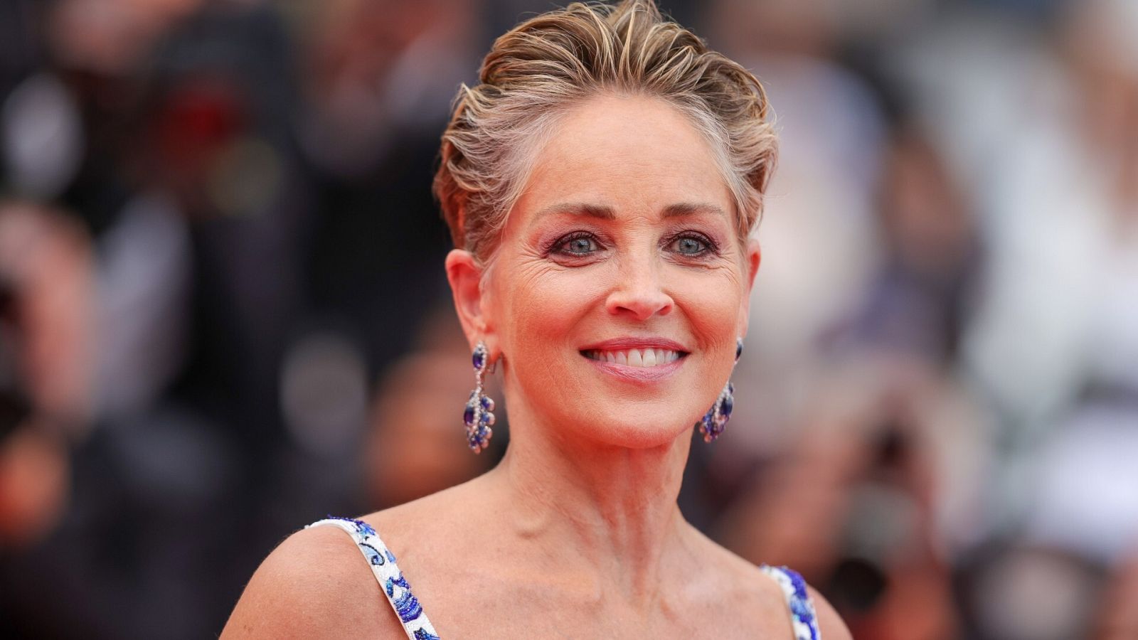 Sharon Stone perdió la custodia de su hijo por 'Instinto básico'