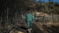 'Por tres razones'  desde Tábara, 'zona cero' de los incendios de Zamora