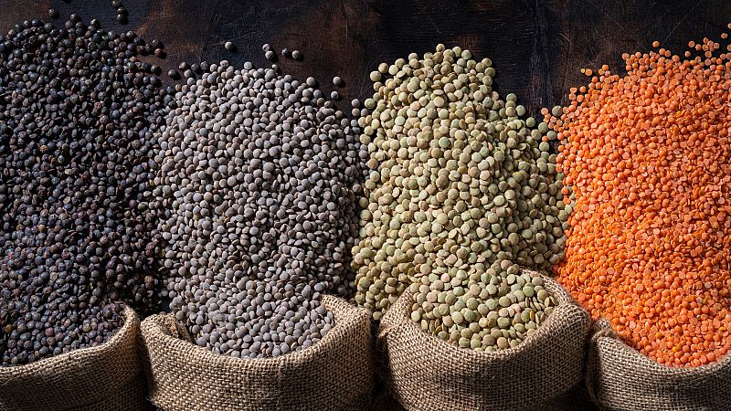 Descubre los tipos de lentejas y cul es mejor para cada receta