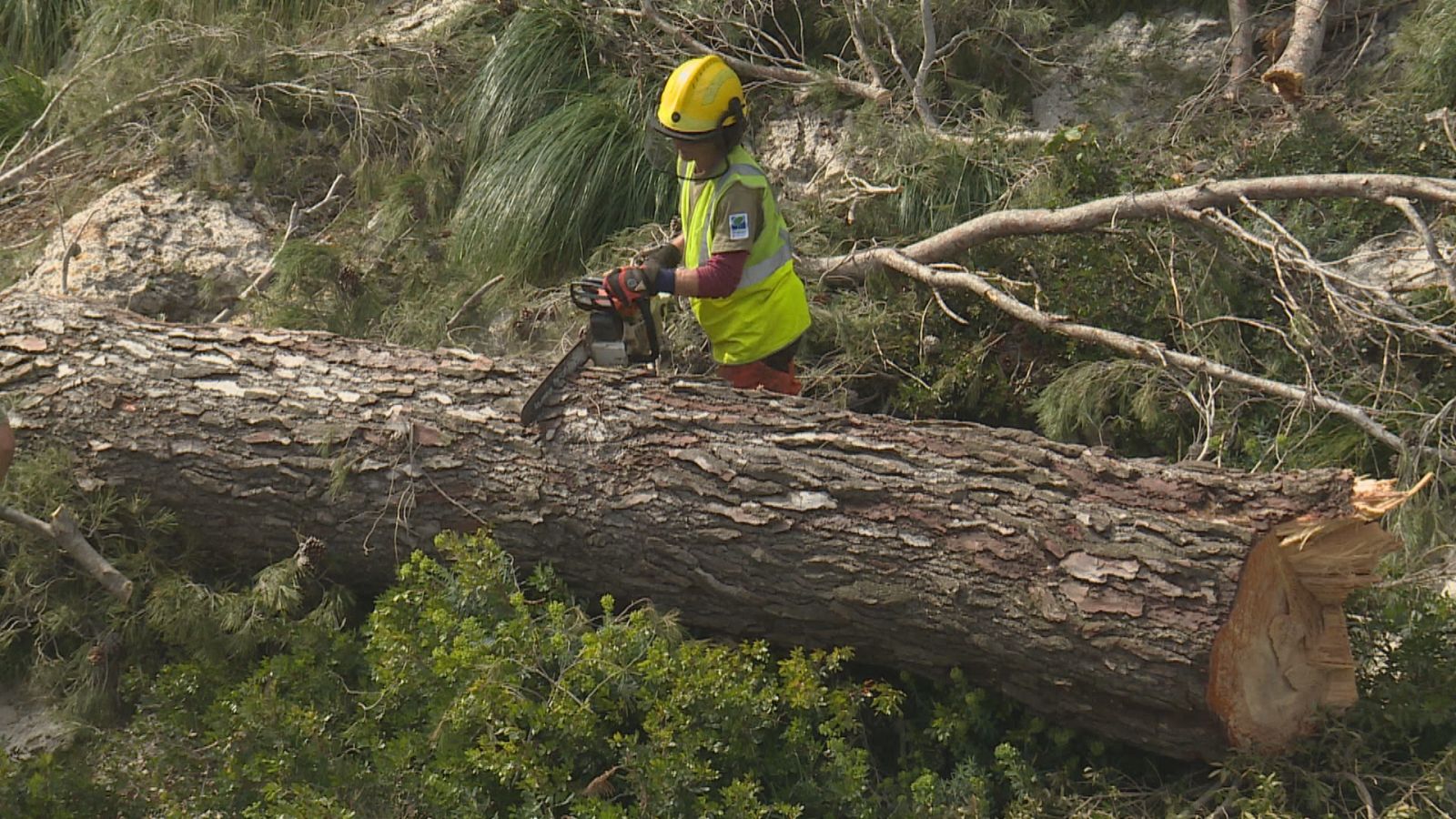 ctv-uhr-bal-mll-efectos-juliette-en-lluc-br-inf-tve frame 8729