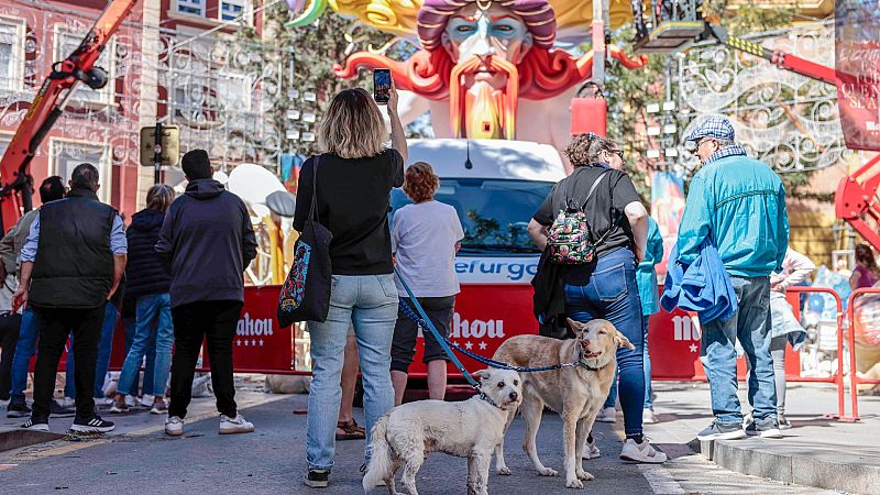 Las residencias caninas se llenan en Fallas: "Son das con ruido constante y algunos perros pasan mucho miedo"