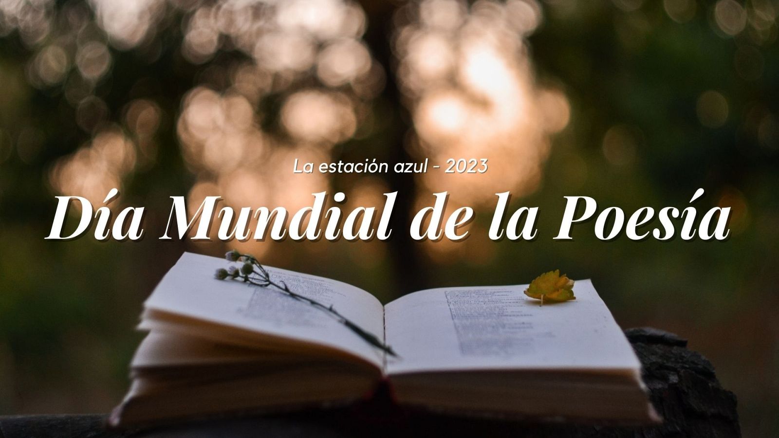 Día Mundial de la Poesía 2023, el 21 de marzo