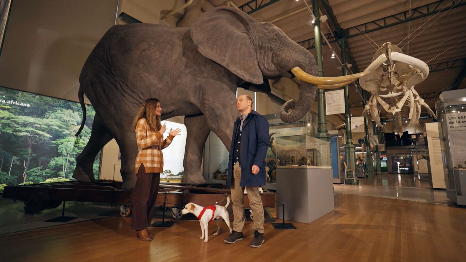 Pipper visita el Museo Nacional de Ciencias Naturales