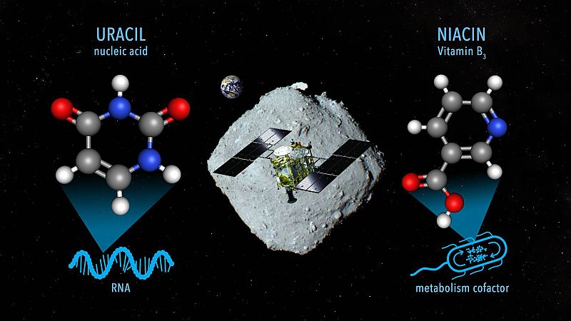 Encuentran vitamina B3 y uracilo, compuestos básicos para la vida, en un asteroide sin contacto con la Tierra